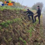 Neupflanzung und Aufwertung in Nussbaumen (Foto: Nina Moser)