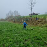 Neupflanzung in Schocherswil (Foto: Nina Moser)
