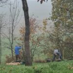 Neupflanzung in Schocherswil (Foto: Nina Moser)