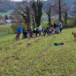 Neupflanzung in Tänikon (Foto: Nina Moser)