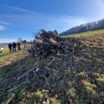 Neupflanzung in Tänikon (Foto: Nina Moser)